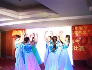 跨越祥和，超越自我—2013春節(jié)聯(lián)歡--財(cái)務(wù)處